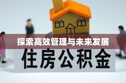大武探索高效管理与未来发展