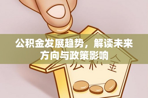 大武公积金发展趋势，解读未来方向与政策影响