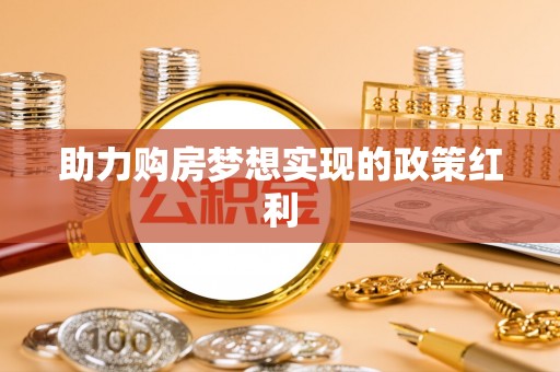 大武助力购房梦想实现的政策红利