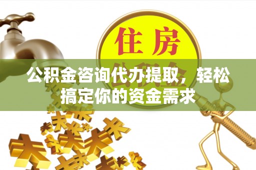 大武公积金咨询代办提取，轻松搞定你的资金需求