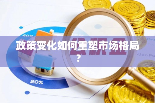 大武政策变化如何重塑市场格局？