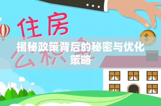 大武揭秘政策背后的秘密与优化策略