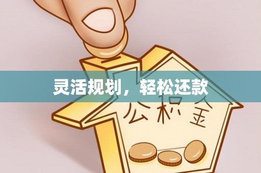 大武灵活规划，轻松还款