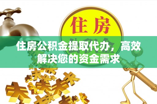 大武住房公积金提取代办，高效解决您的资金需求