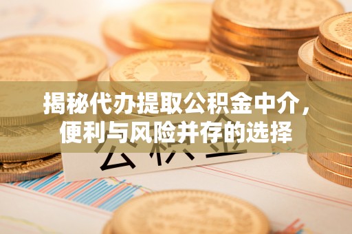大武揭秘代办提取公积金中介，便利与风险并存的选择