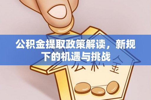 大武公积金提取政策解读，新规下的机遇与挑战