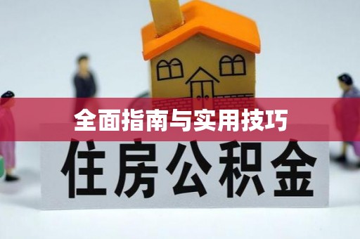 大武全面指南与实用技巧