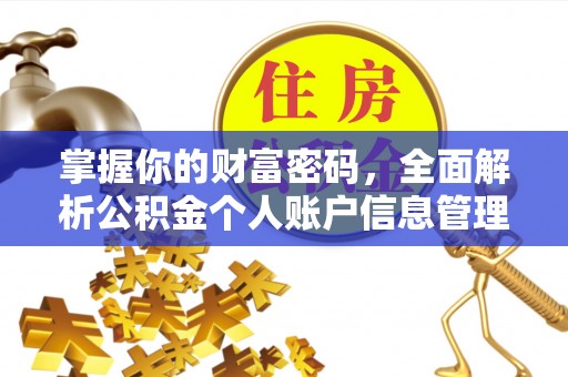 大武掌握你的财富密码，全面解析公积金个人账户信息管理与优化