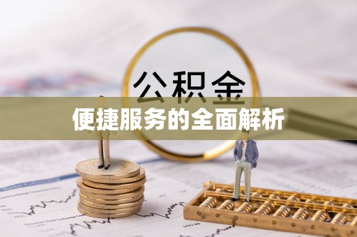 大武便捷服务的全面解析