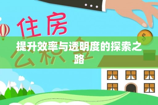 大武提升效率与透明度的探索之路