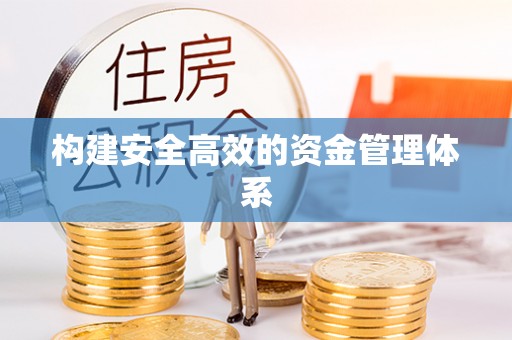 大武构建安全高效的资金管理体系