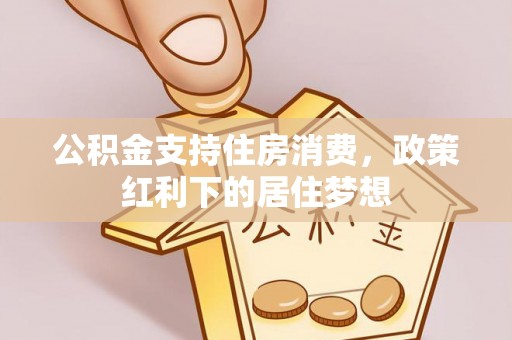 大武公积金支持住房消费，政策红利下的居住梦想