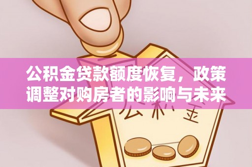 大武公积金贷款额度恢复，政策调整对购房者的影响与未来展望