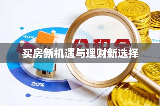 大武买房新机遇与理财新选择