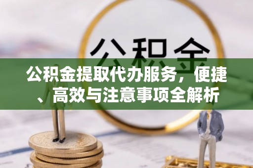 大武公积金提取代办服务，便捷、高效与注意事项全解析