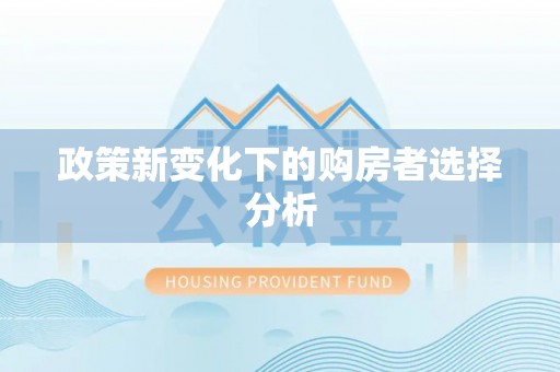 大武政策新变化下的购房者选择分析