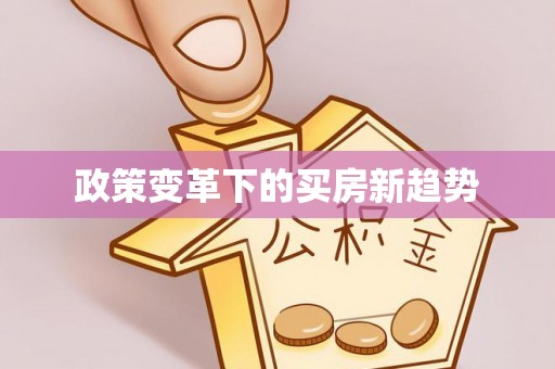 大武政策变革下的买房新趋势