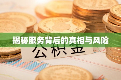 大武揭秘服务背后的真相与风险