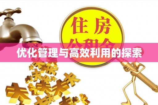 大武优化管理与高效利用的探索