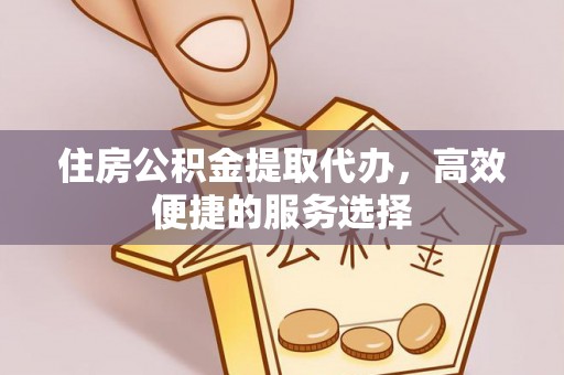 大武住房公积金提取代办，高效便捷的服务选择