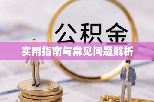 大武实用指南与常见问题解析
