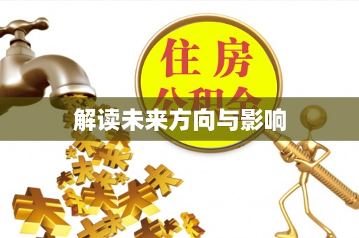 大武解读未来方向与影响