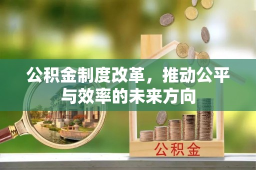 大武公积金制度改革，推动公平与效率的未来方向