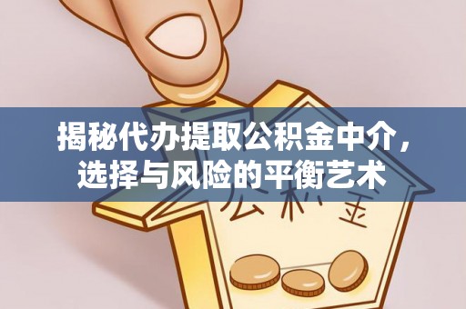 大武揭秘代办提取公积金中介，选择与风险的平衡艺术