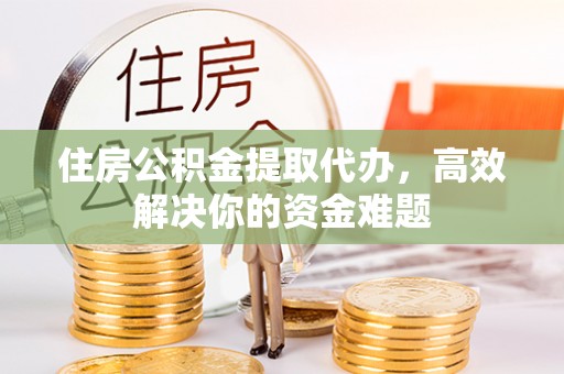 大武住房公积金提取代办，高效解决你的资金难题