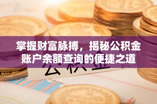 大武掌握财富脉搏，揭秘公积金账户余额查询的便捷之道