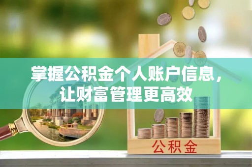 大武掌握公积金个人账户信息，让财富管理更高效