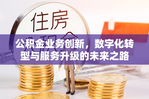 大武公积金业务创新，数字化转型与服务升级的未来之路