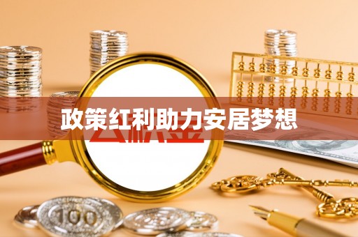 大武政策红利助力安居梦想