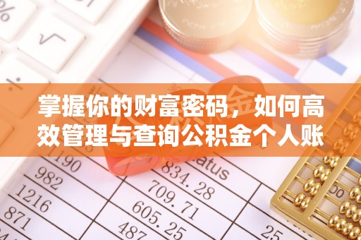 大武掌握你的财富密码，如何高效管理与查询公积金个人账户信息