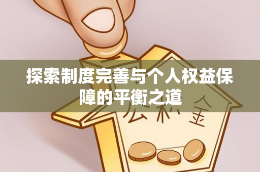 大武探索制度完善与个人权益保障的平衡之道