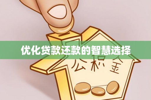 大武优化贷款还款的智慧选择