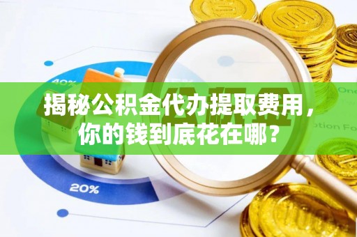 大武揭秘公积金代办提取费用，你的钱到底花在哪？