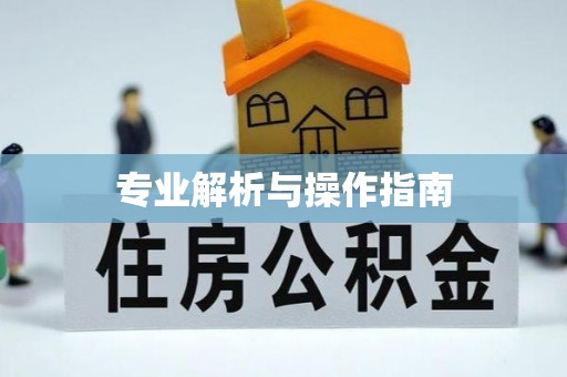 大武专业解析与操作指南