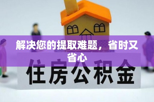 大武解决您的提取难题，省时又省心
