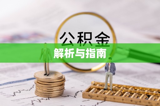 大武解析与指南