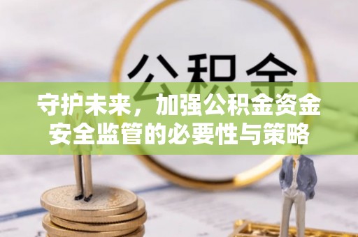 大武守护未来，加强公积金资金安全监管的必要性与策略