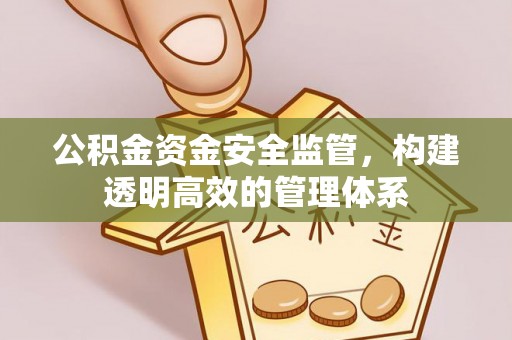 大武公积金资金安全监管，构建透明高效的管理体系