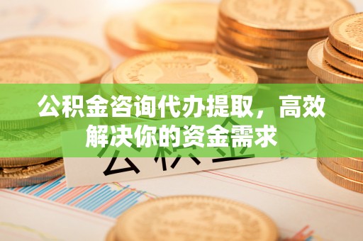 大武公积金咨询代办提取，高效解决你的资金需求