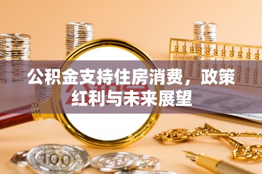 大武公积金支持住房消费，政策红利与未来展望