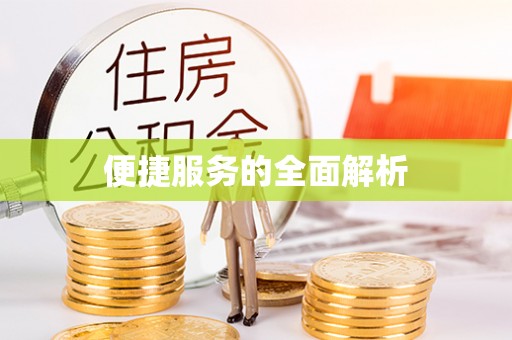 大武便捷服务的全面解析