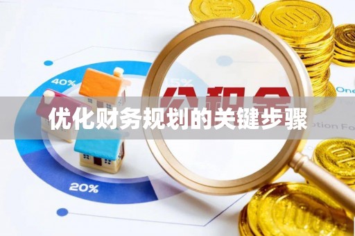 大武优化财务规划的关键步骤