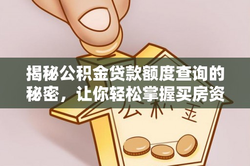 大武揭秘公积金贷款额度查询的秘密，让你轻松掌握买房资金规划