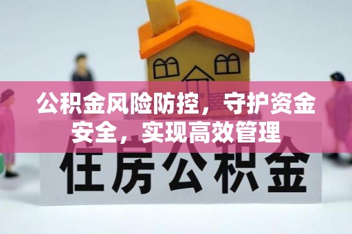 大武公积金风险防控，守护资金安全，实现高效管理
