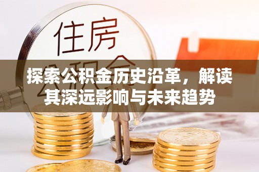 大武探索公积金历史沿革，解读其深远影响与未来趋势