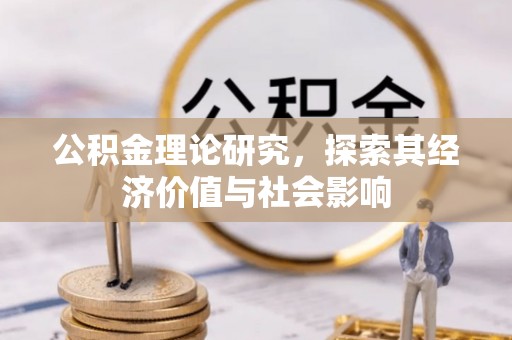 大武公积金理论研究，探索其经济价值与社会影响